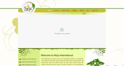 Desktop Screenshot of nirjainternational.com