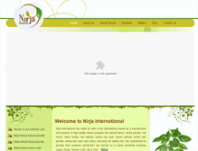 Tablet Screenshot of nirjainternational.com